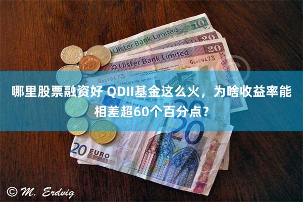 哪里股票融资好 QDII基金这么火,为啥收益率能相差超60个百分点?