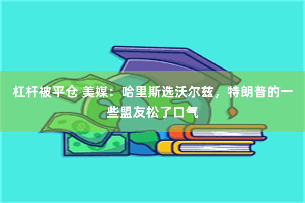 杠杆被平仓 美媒:哈里斯选沃尔兹,特朗普的一些盟友松了口气