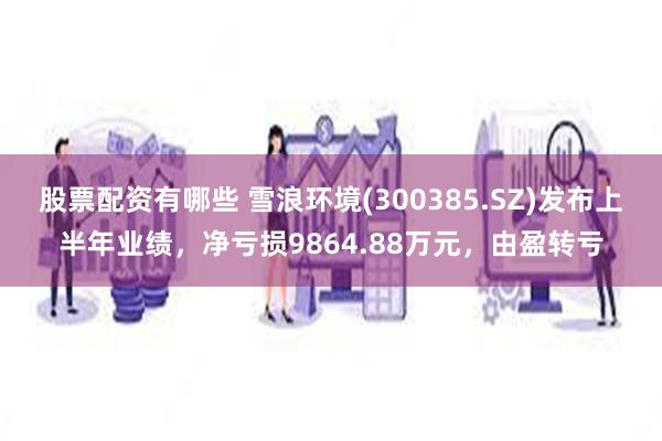 股票配资有哪些 雪浪环境(300385.SZ)发布上半年业绩,净亏损9864.88万元,由盈转亏