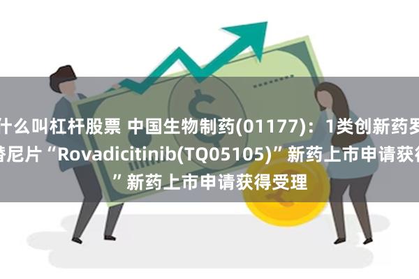 什么叫杠杆股票 中国生物制药(01177):1类创新药罗伐昔替尼片“Rovadicitinib(TQ05105)”新药上市申请获得受理