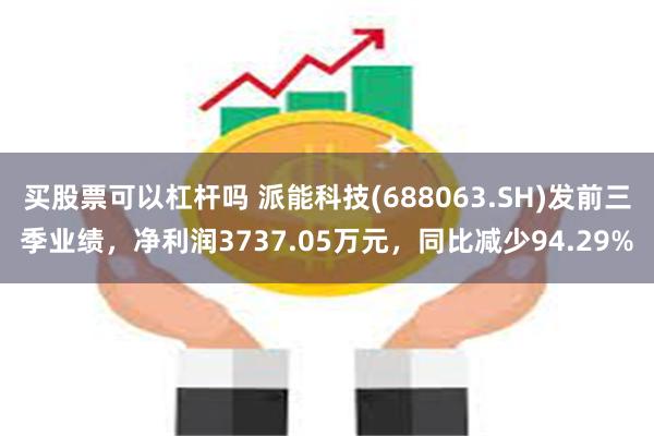 买股票可以杠杆吗 派能科技(688063.SH)发前三季业绩,净利润3737.05万元,同比减少94.29%