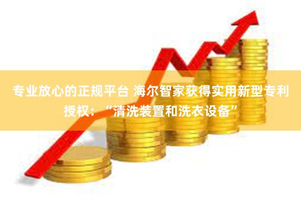 专业放心的正规平台 海尔智家获得实用新型专利授权:“清洗装置和洗衣设备”