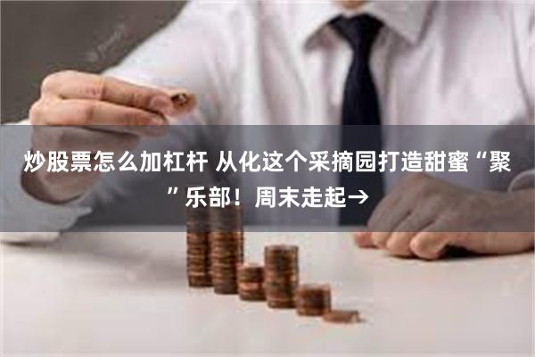 炒股票怎么加杠杆 从化这个采摘园打造甜蜜“聚”乐部！周末走起→
