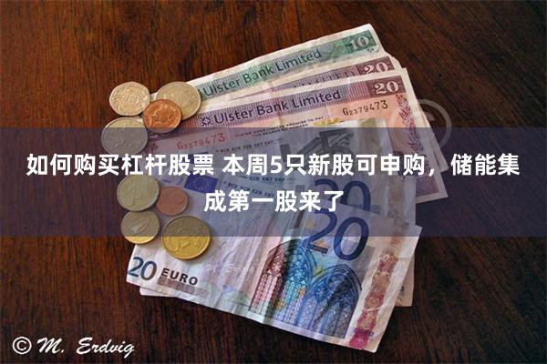 如何购买杠杆股票 本周5只新股可申购，储能集成第一股来了