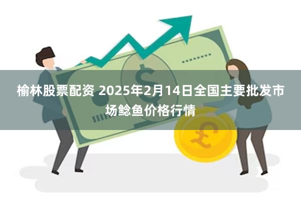 榆林股票配资 2025年2月14日全国主要批发市场鲶鱼价格行情