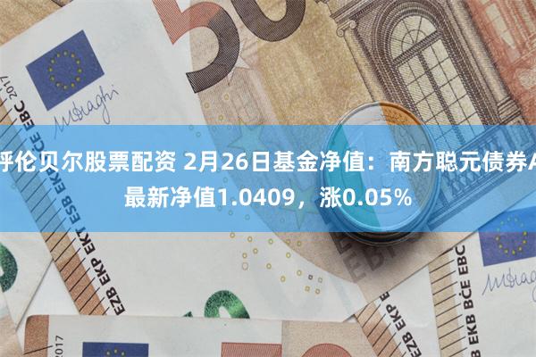 呼伦贝尔股票配资 2月26日基金净值：南方聪元债券A最新净值1.0409，涨0.05%