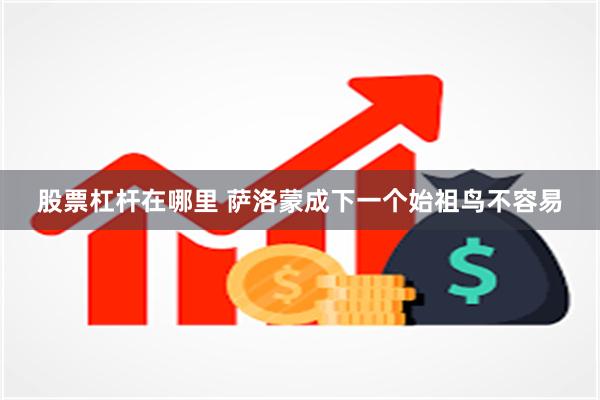 股票杠杆在哪里 萨洛蒙成下一个始祖鸟不容易