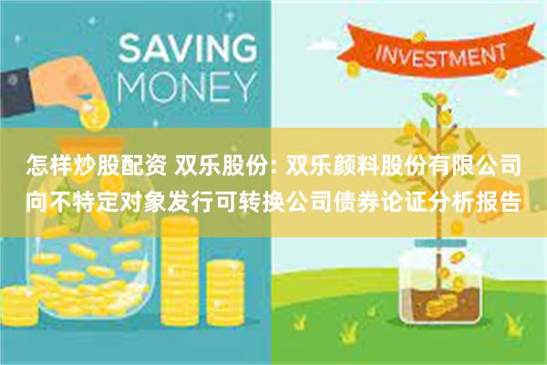 怎样炒股配资 双乐股份: 双乐颜料股份有限公司向不特定对象发行可转换公司债券论证分析报告