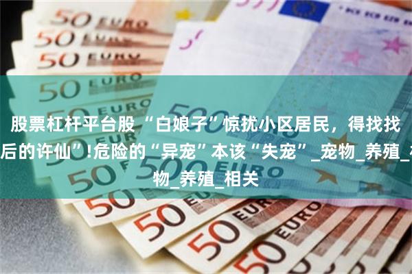 股票杠杆平台股 “白娘子”惊扰小区居民，得找找“背后的许仙”!危险的“异宠”本该“失宠”_宠物_养殖_相关