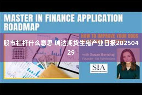 股市杠杆什么意思 瑞达期货生猪产业日报20250429