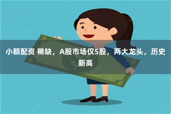 小额配资 稀缺,A股市场仅5股,两大龙头,历史新高