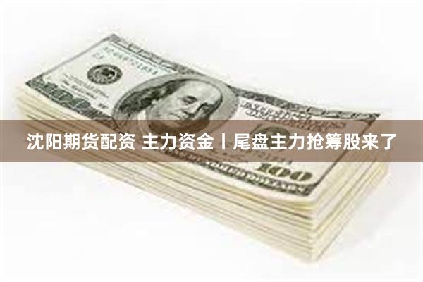 沈阳期货配资 主力资金丨尾盘主力抢筹股来了
