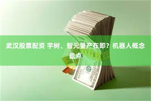 武汉股票配资 宇树、智元量产在即?机器人概念盘点