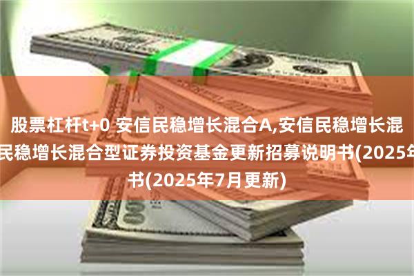 股票杠杆t+0 安信民稳增长混合A,安信民稳增长混合C: 安信民稳增长混合型证券投资基金更新招募说明书(2025年7月更新)