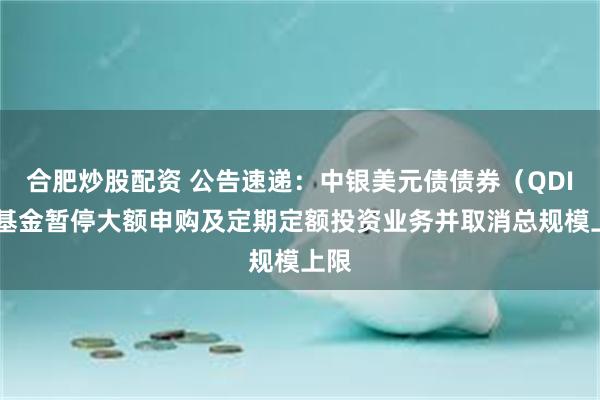 合肥炒股配资 公告速递：中银美元债债券（QDII）基金暂停大额申购及定期定额投资业务并取消总规模上限